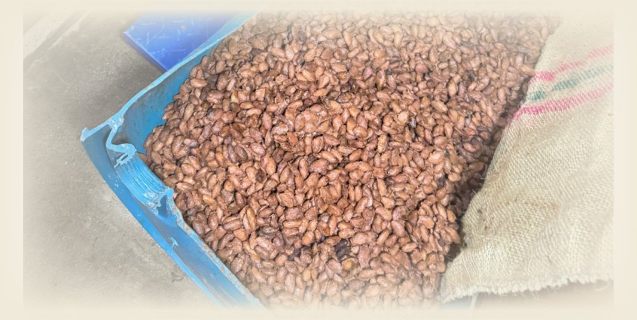 2-Cocoa-with-a-Story,-Crafted-with-Passion