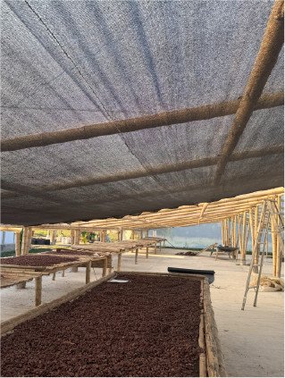 Collection & Pod Breaking