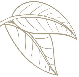 Decoration left Caia