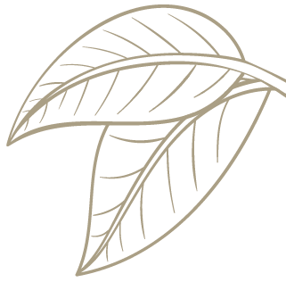 Decoration right Caia