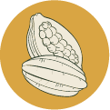 Icon Cocoa