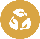 Icon Social & Environmental Responsibility