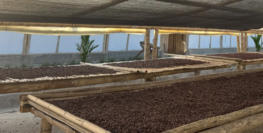 Join-Us-in-Redefining-the-Future-of-Colombian-Cocoa