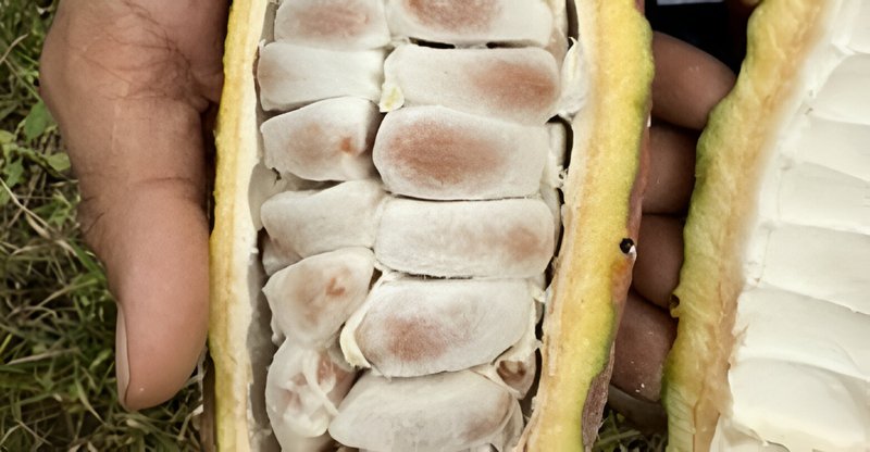 Subscribe-to-Our-Blog