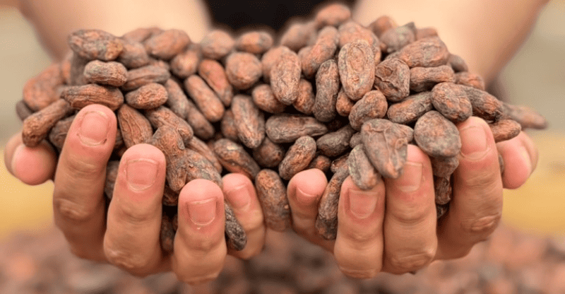 Subscribe-to-Our-Blog